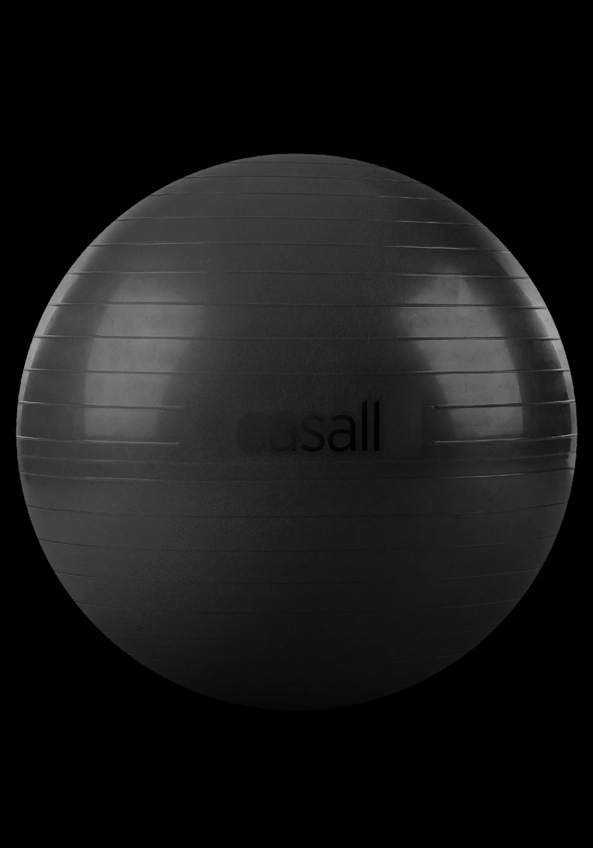 Casall Pilatesball>Exercise Ball 60-65cm -